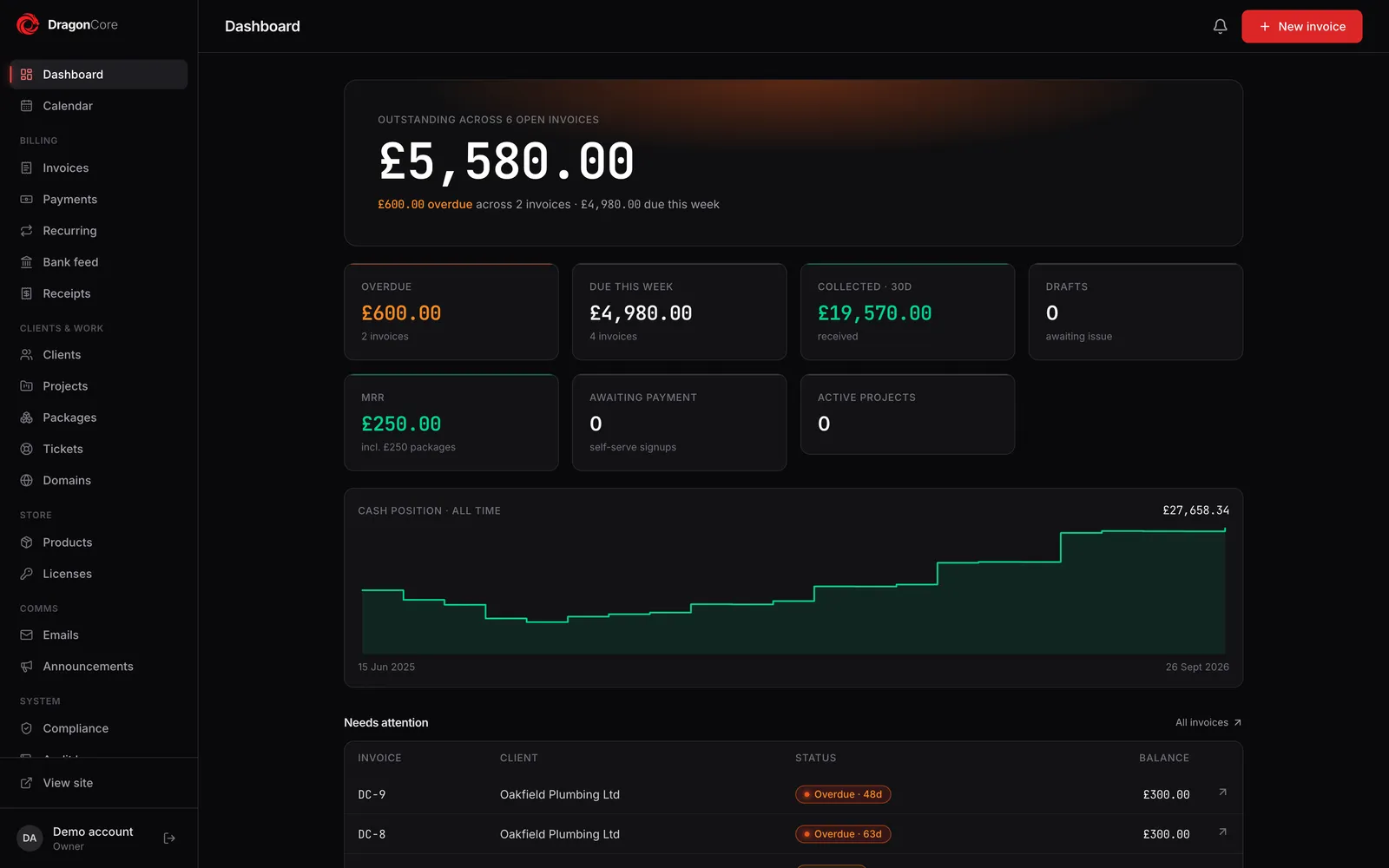 Dragon Core accounts, showing example data on a laptop